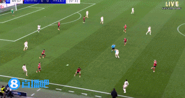 樂魚app官方下載入口